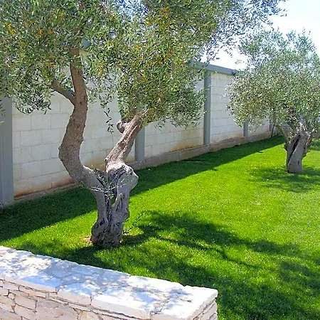Bed & Breakfast Freezone 3*