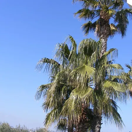 Free Zone 3* Modugno