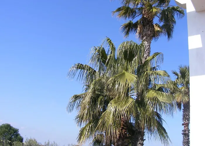 Freezone 3* مودونيو